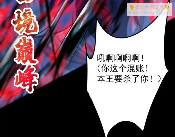 漫画《掌门低调点》239 舍弃一切防御第100张图