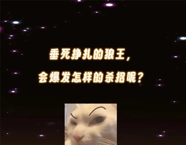 漫画《掌门低调点》240 这一剑，雪停第168张图