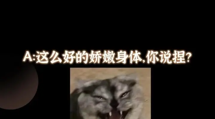 漫画《掌门低调点》242 万一是美人塔主呢？第148张图