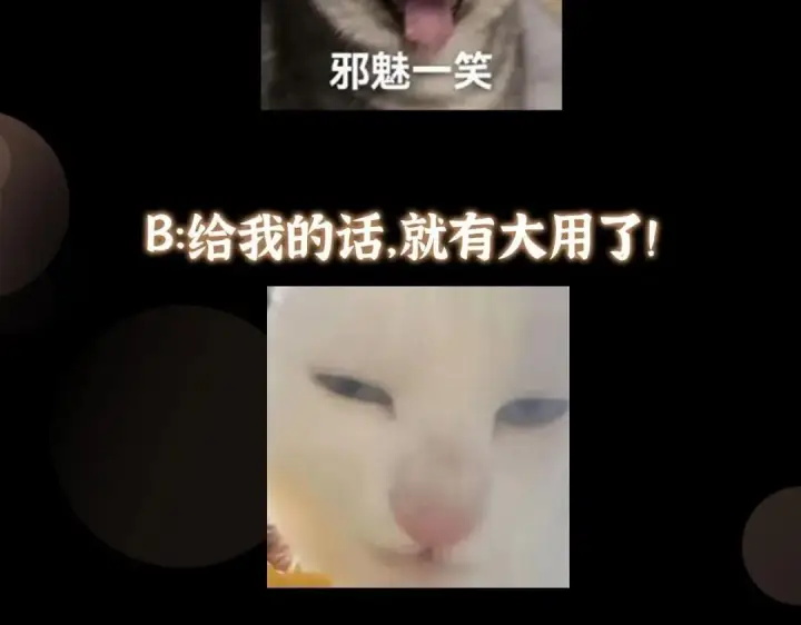 漫画《掌门低调点》242 万一是美人塔主呢？第149张图