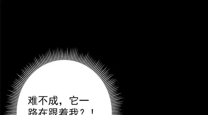 漫画《掌门低调点》242 万一是美人塔主呢？第26张图