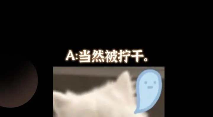 漫画《掌门低调点》249 有了我珍视的家人第153张图