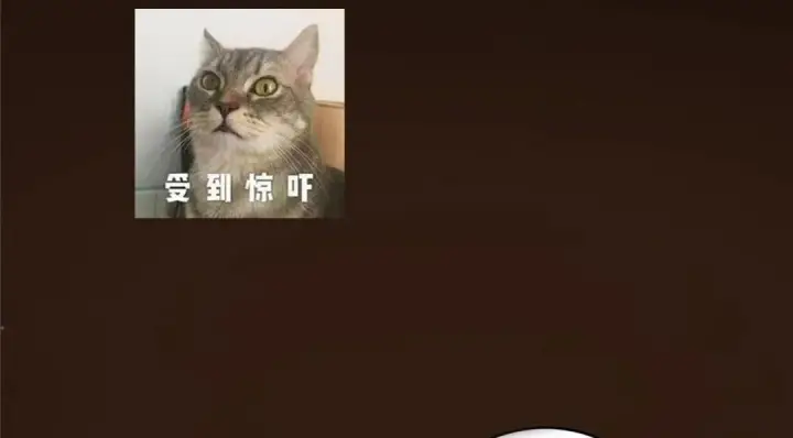 漫画《掌门低调点》253 就该夫唱妇随！第145张图