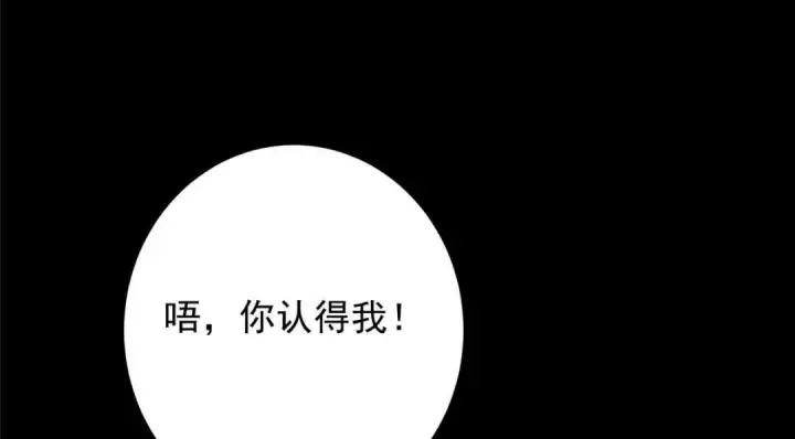 漫画《掌门低调点》254 宗主之宴犹如鸿门第151张图