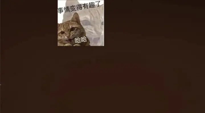 漫画《掌门低调点》256 他留给他的第152张图