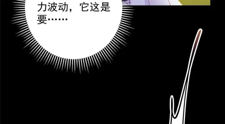 漫画《掌门低调点》256 他留给他的第28张图