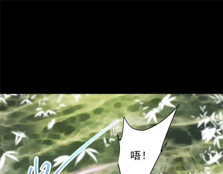 漫画《掌门低调点》256 他留给他的第9张图
