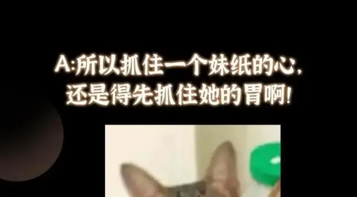 漫画《掌门低调点》260 何人不曾年少时第156张图