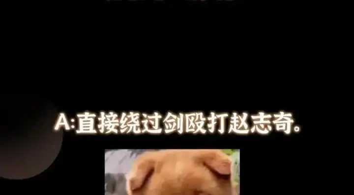漫画《掌门低调点》263 满山大雪皆为吾剑第172张图