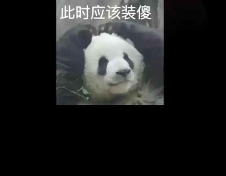漫画《掌门低调点》263 满山大雪皆为吾剑第175张图