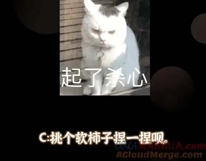 漫画《掌门低调点》264 我一眼就足以秒你！第145张图