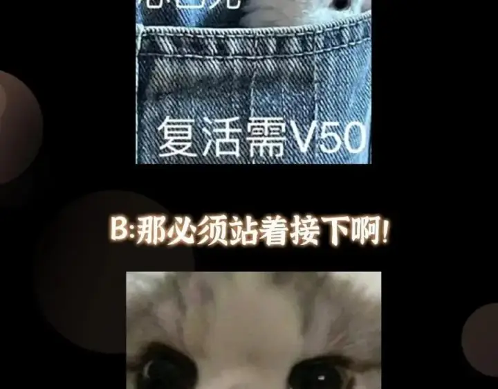 漫画《掌门低调点》266 为我们的关系正名！第134张图