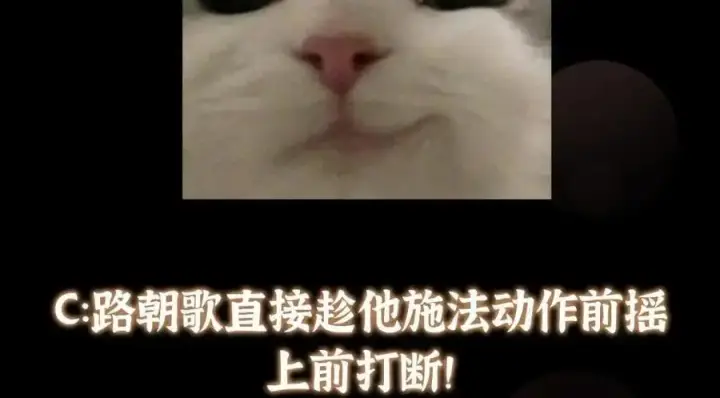 漫画《掌门低调点》266 为我们的关系正名！第135张图
