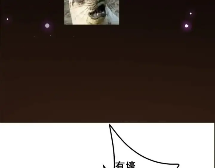 漫画《掌门低调点》283 书上居然有我的名字第139张图