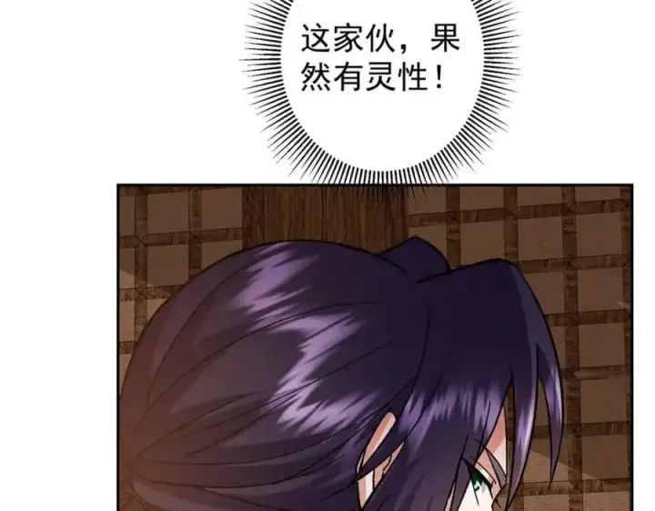 漫画《掌门低调点》284 什么叫专业打脸？第55张图