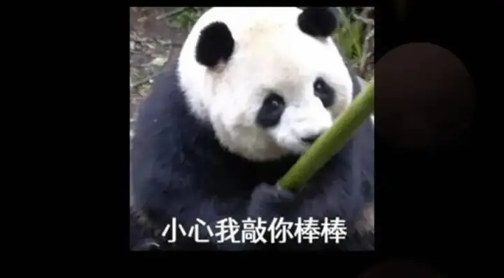 漫画《掌门低调点》289 到底谁是猎人？猎物？第158张图