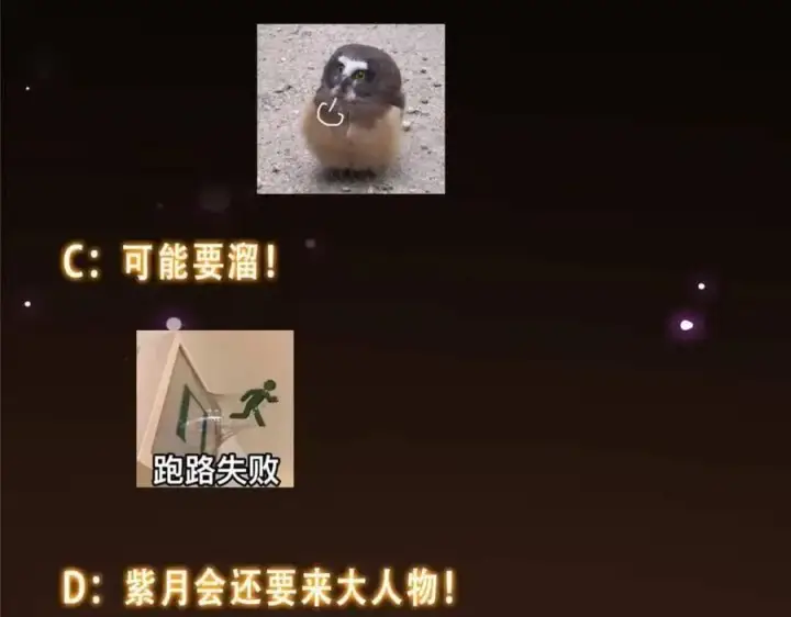 漫画《掌门低调点》290 一见朝歌误终生第163张图