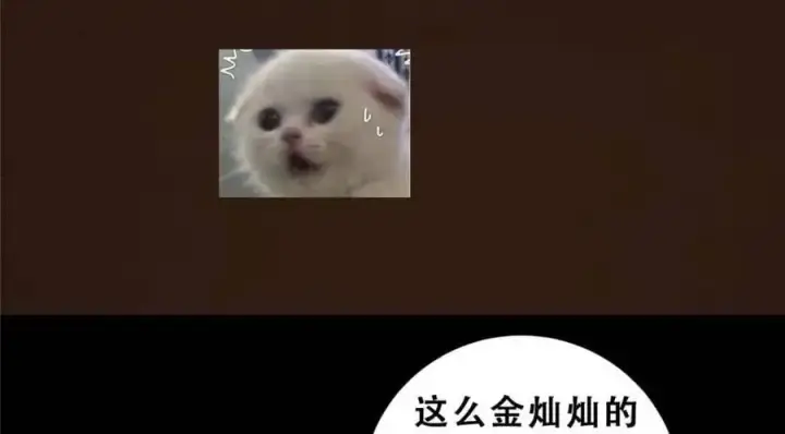 漫画《掌门低调点》290 一见朝歌误终生第164张图