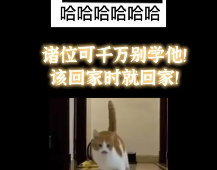 漫画《掌门低调点》313 迟早在顶峰相见第163张图