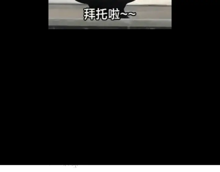 漫画《掌门低调点》313 迟早在顶峰相见第166张图