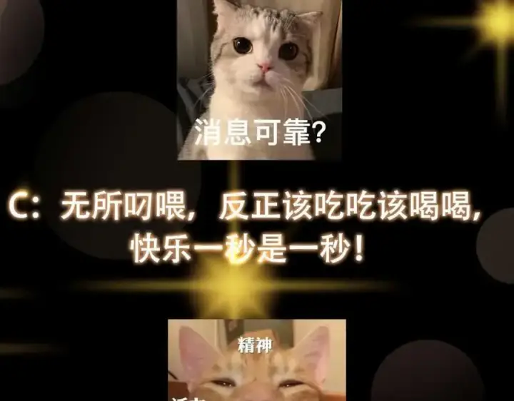 漫画《掌门低调点》321 算了，我摆烂了第139张图