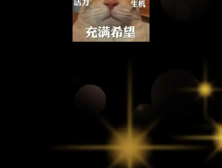 漫画《掌门低调点》321 算了，我摆烂了第140张图
