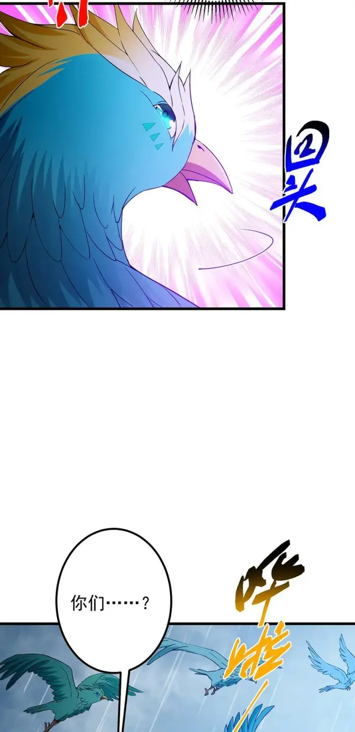 漫画《掌门低调点》403 为了王女拼上性命！第48张图