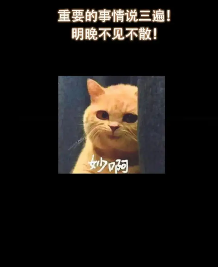 漫画《掌门低调点》419 总是有人要死的第87张图
