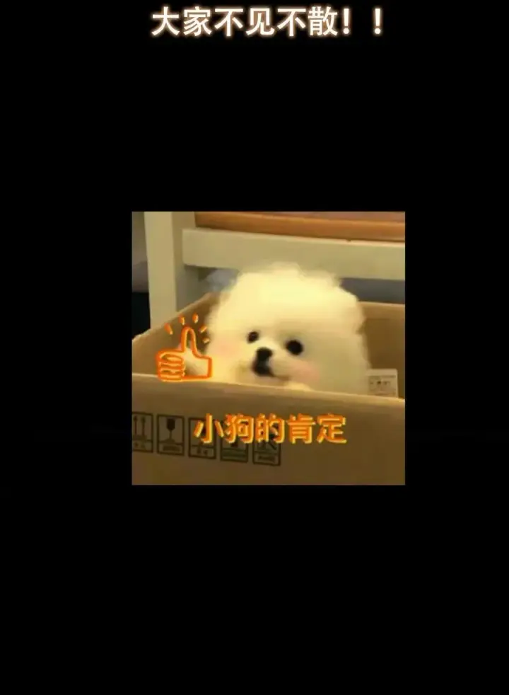 漫画《掌门低调点》430 这收获分配时刻第72张图