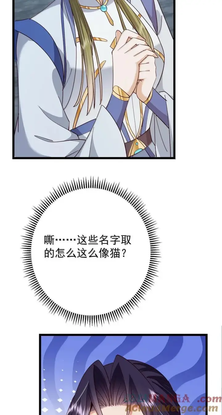 漫画《掌门低调点》443 新的师叔也很润第37张图