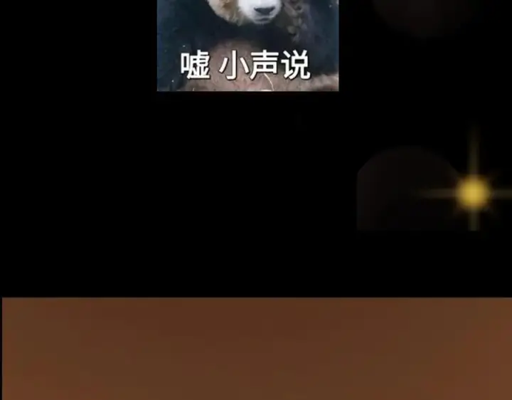 漫画《掌门低调点》448 他好像想起了些什么第227张图