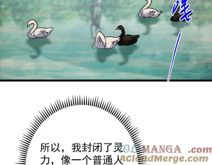 漫画《掌门低调点》453 平和又美好的一切第61张图