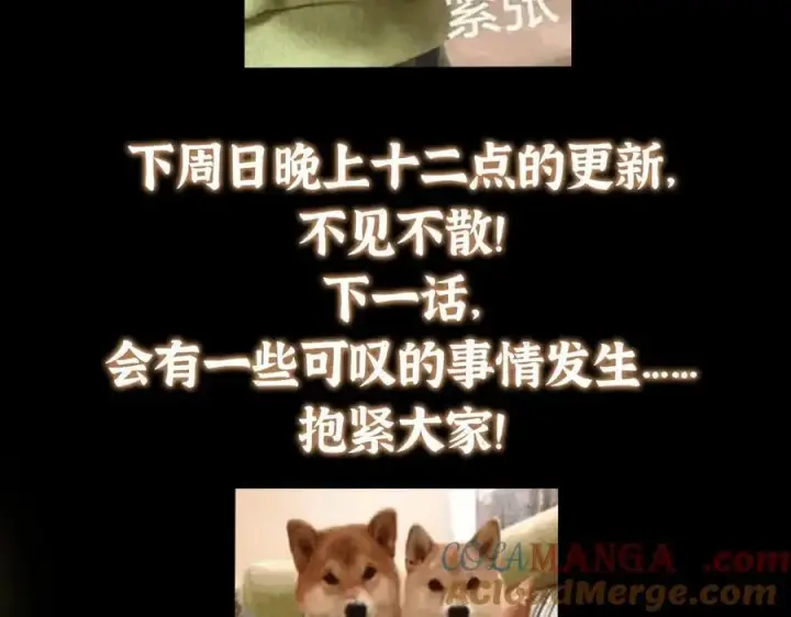 漫画《掌门低调点》478 最后一战让为师来！第269张图