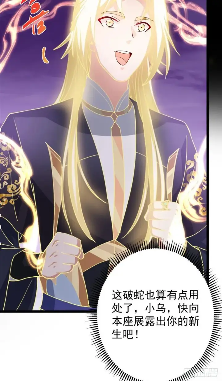漫画《掌门低调点》499 楚伊人的纯爱之域第17张图