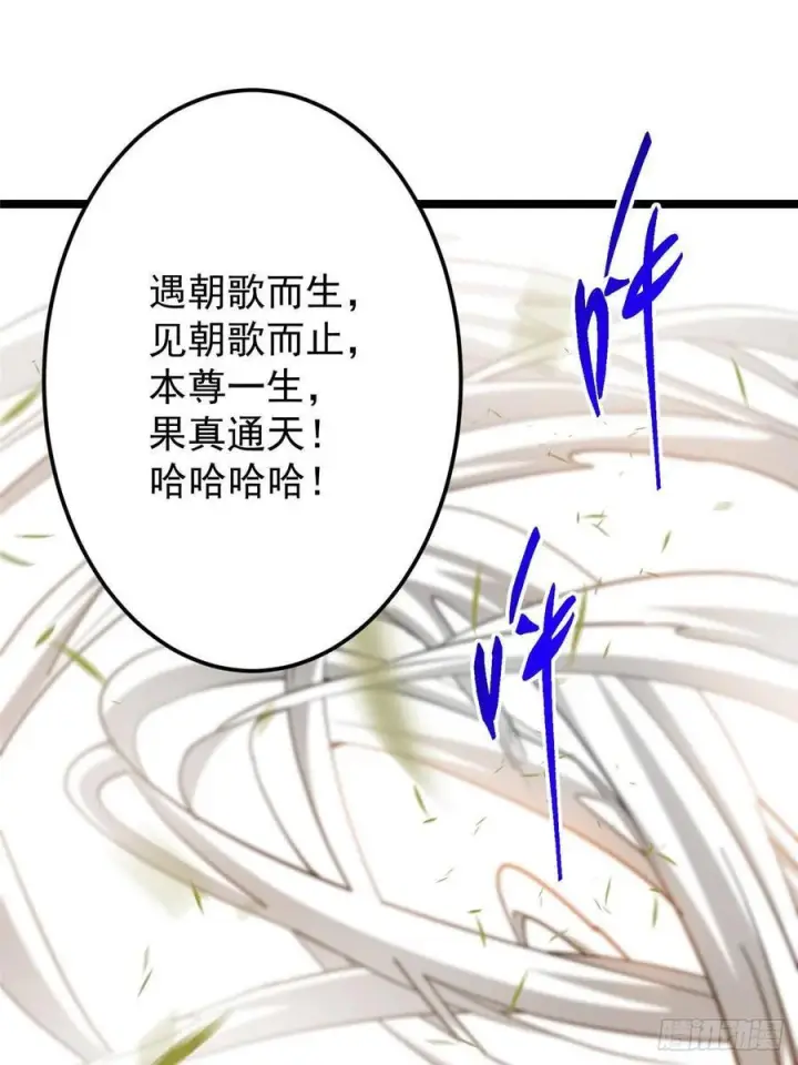 漫画《掌门低调点》524 这术法你就拿着吧！第81张图