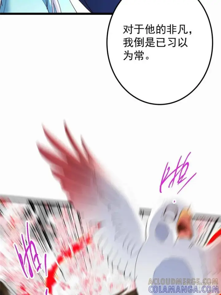 漫画《掌门低调点》535 喊他就是郎君？第46张图