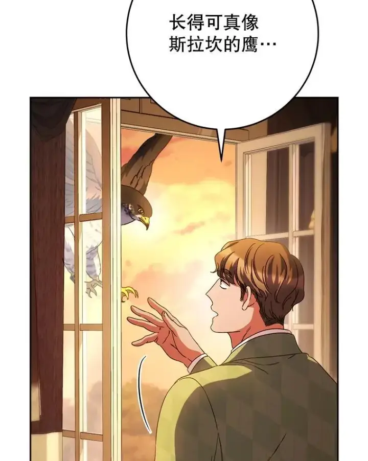 漫画《这次要好好养妹妹》48.婚礼第5张图