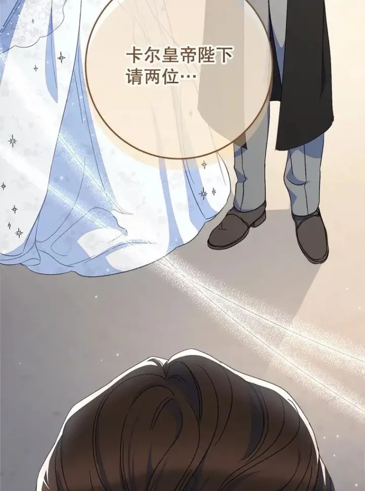 漫画《这次要好好养妹妹》50.彩礼第53张图