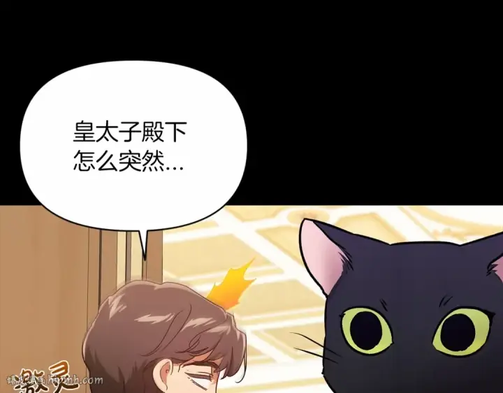 漫画《这个婚反正也要完蛋》第33话 他是我选的第24张图