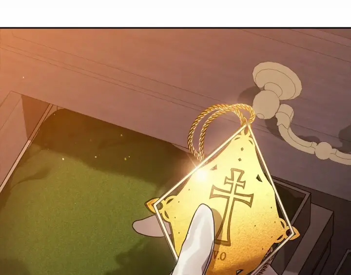 漫画《这个婚反正也要完蛋》第34话 胸针的秘密第171张图