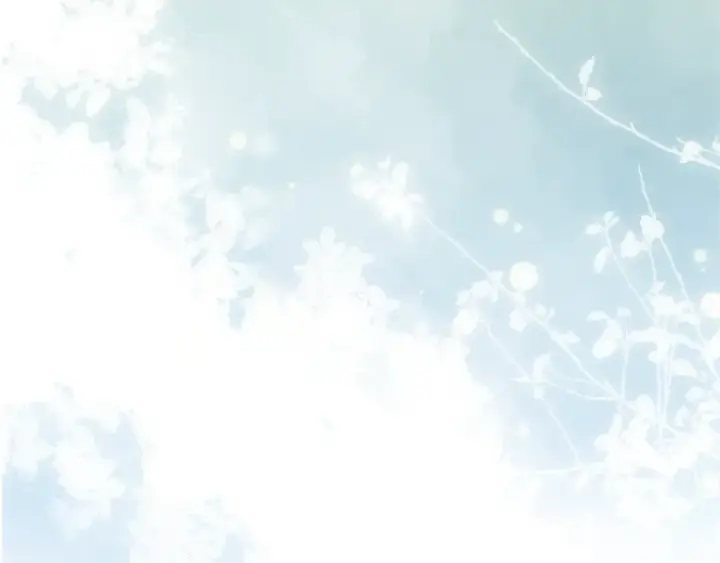 漫画《这个婚反正也要完蛋》第101话 离婚的理由第251张图