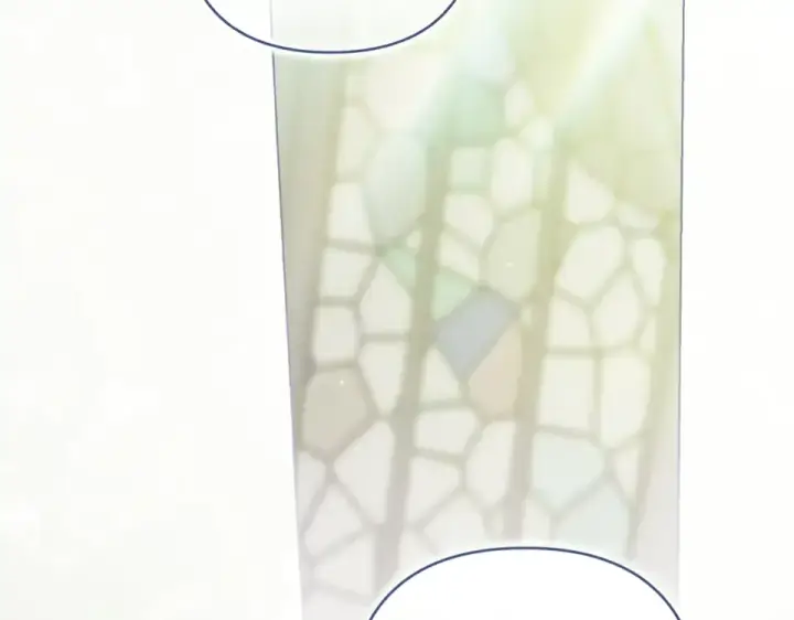 漫画《这个婚反正也要完蛋》第113话 坦白第185张图