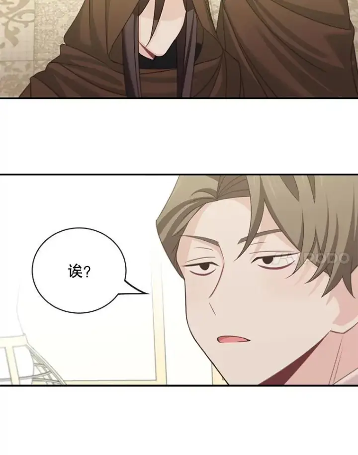 漫画《这个男主归我了》25.抵达皇都第72张图