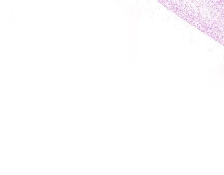 漫画《真的女儿回来了》第99话 和重要的人规划未来第126张图