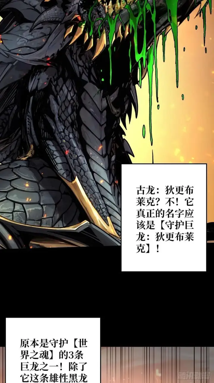漫画《重燃吧，T0玩家！》第 14话 守护巨龙第29张图