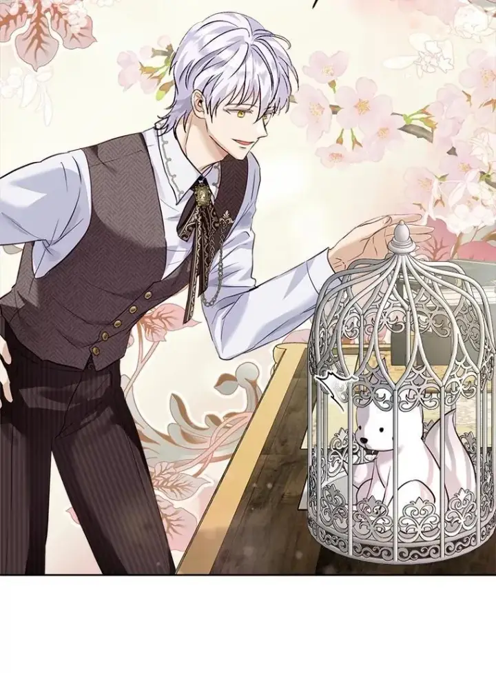 漫画《重生为神兽宝宝》54.得到银狐（本季完）第23张图
