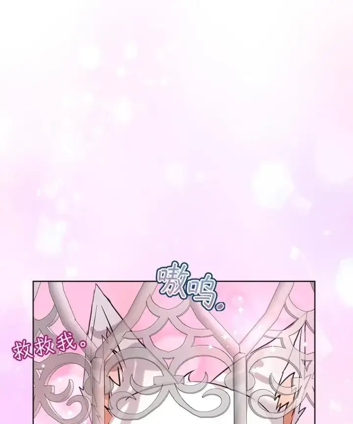 漫画《重生为神兽宝宝》54.得到银狐（本季完）第26张图