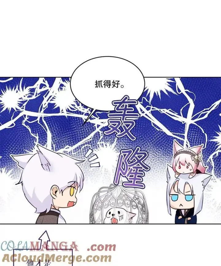 漫画《重生为神兽宝宝》54.得到银狐（本季完）第29张图