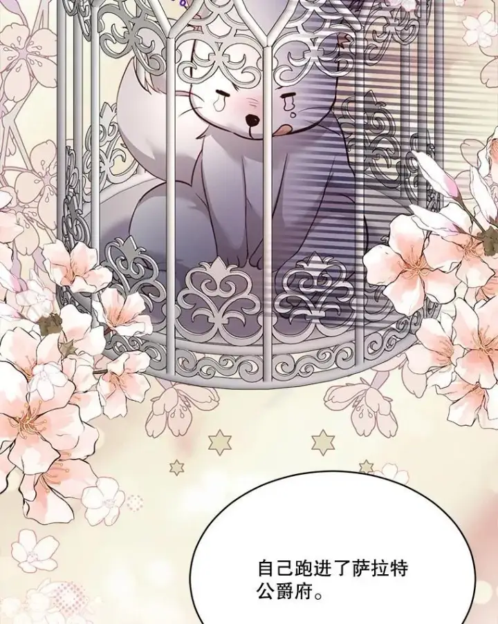 漫画《重生为神兽宝宝》54.得到银狐（本季完）第62张图