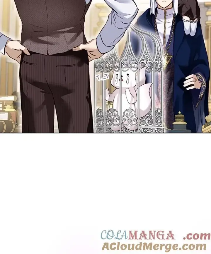 漫画《重生为神兽宝宝》54.得到银狐第25张图